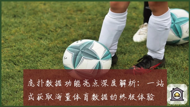 虎扑数据功能亮点深度解析：一站式获取海量体育数据的终极体验