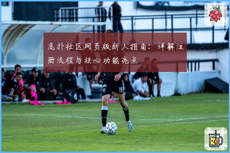 虎扑社区网页版新人指南：详解注册流程与核心功能亮点