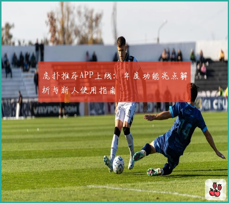 虎扑推荐APP上线：年度功能亮点解析与新人使用指南