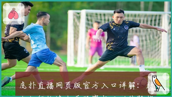 虎扑直播网页版官方入口详解：新人如何快速上手观赛与互动体验指南