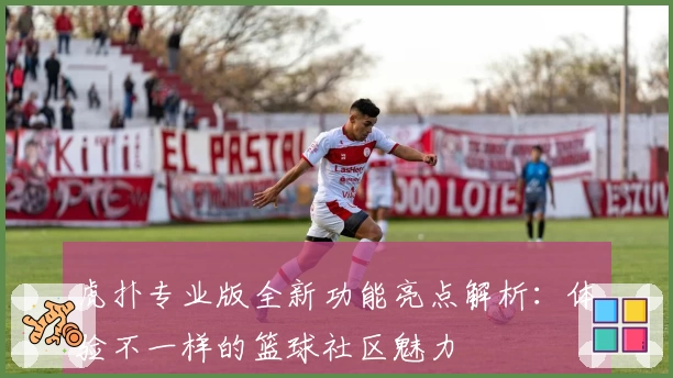 虎扑专业版全新功能亮点解析：体验不一样的篮球社区魅力